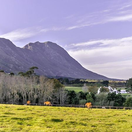 Hemel 'N Aarde Stud Hotel Hermanus Buitenkant foto