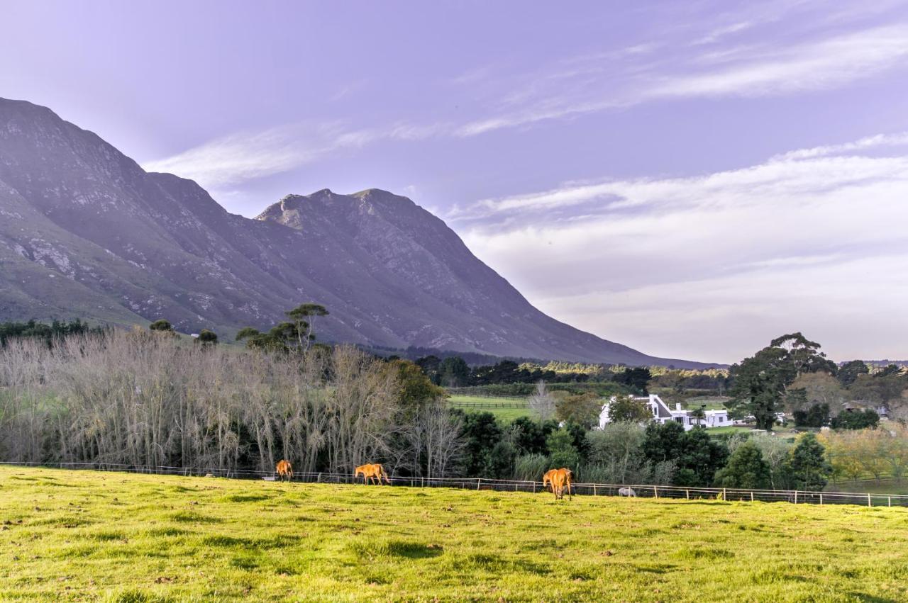 Hemel 'N Aarde Stud Hotel Hermanus Buitenkant foto