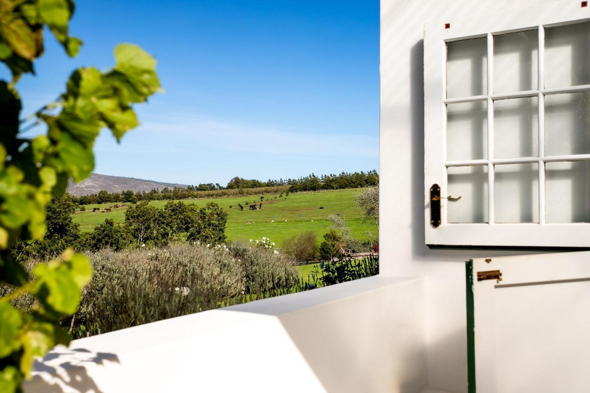 Hemel 'N Aarde Stud Hotel Hermanus Buitenkant foto
